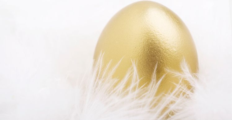 golden egg surrounded by white feathers